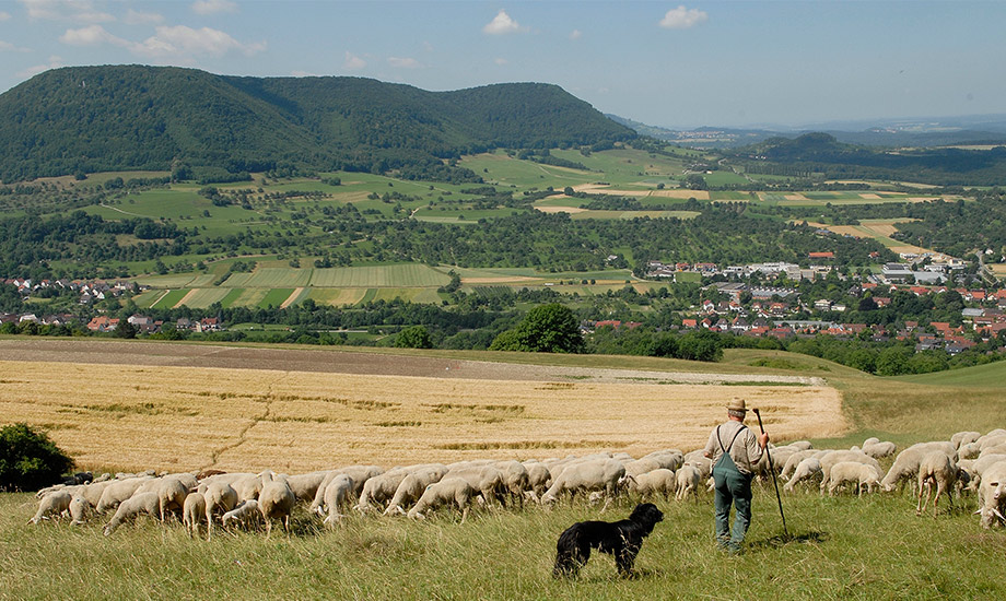 Albtrauf Bassgeige mit Lenninger Tal Reiner Enkelmann